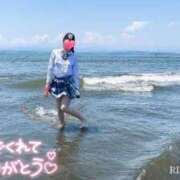 ヒメ日記 2025/08/09 18:07 投稿 りか 横浜人妻花壇本店