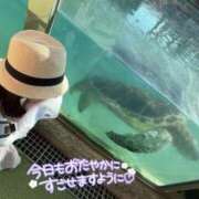 ヒメ日記 2025/08/13 12:05 投稿 りか 横浜人妻花壇本店