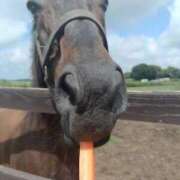 ヒメ日記 2025/08/16 20:01 投稿 りか 横浜人妻花壇本店