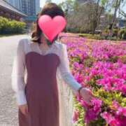 ヒメ日記 2025/08/29 23:31 投稿 りか 横浜人妻花壇本店