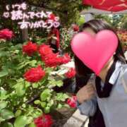 ヒメ日記 2025/09/04 20:06 投稿 りか 横浜人妻花壇本店