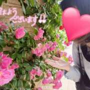 ヒメ日記 2025/09/09 10:06 投稿 りか 横浜人妻花壇本店