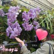 ヒメ日記 2025/09/15 10:08 投稿 りか 横浜人妻花壇本店