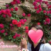 ヒメ日記 2025/09/16 12:07 投稿 りか 横浜人妻花壇本店