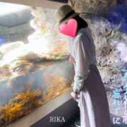 ヒメ日記 2025/09/19 15:06 投稿 りか 横浜人妻花壇本店