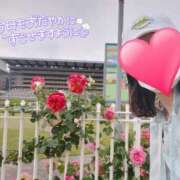 ヒメ日記 2025/09/22 10:08 投稿 りか 横浜人妻花壇本店