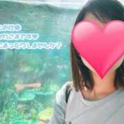 ヒメ日記 2025/09/23 15:19 投稿 りか 横浜人妻花壇本店