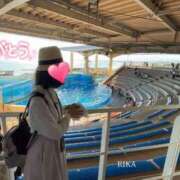 ヒメ日記 2025/09/30 23:03 投稿 りか 横浜人妻花壇本店