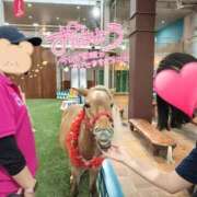 ヒメ日記 2025/10/03 10:06 投稿 りか 横浜人妻花壇本店