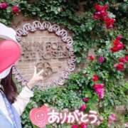 ヒメ日記 2025/10/06 15:04 投稿 りか 横浜人妻花壇本店