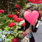 ヒメ日記 2025/10/09 23:04 投稿 りか 横浜人妻花壇本店