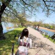 ヒメ日記 2025/10/11 10:07 投稿 りか 横浜人妻花壇本店