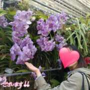 ヒメ日記 2025/10/23 11:02 投稿 りか 横浜人妻花壇本店