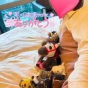 ヒメ日記 2025/10/30 19:08 投稿 りか 横浜人妻花壇本店