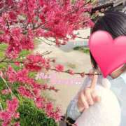 ヒメ日記 2025/11/02 06:33 投稿 りか 横浜人妻花壇本店