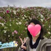 ヒメ日記 2025/11/11 15:07 投稿 りか 横浜人妻花壇本店