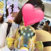 ヒメ日記 2025/11/13 12:08 投稿 りか 横浜人妻花壇本店