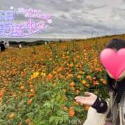 ヒメ日記 2025/11/13 15:04 投稿 りか 横浜人妻花壇本店