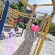ヒメ日記 2026/03/13 18:12 投稿 りか 横浜人妻花壇本店