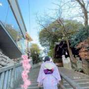 ヒメ日記 2026/06/05 12:30 投稿 りか 横浜人妻花壇本店