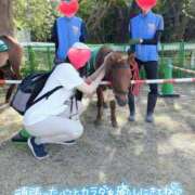 ヒメ日記 2026/09/24 17:06 投稿 りか 横浜人妻花壇本店