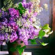 紬（ツムギ） Yuppy0418様? アバンチュール(五反田)