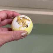 ヒメ日記 2025/03/30 21:30 投稿 岡田 熟女の風俗最終章 新横浜店