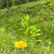 ヒメ日記 2025/05/18 18:51 投稿 みこ 奥様の実話 谷九店