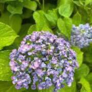 ヒメ日記 2025/06/11 18:00 投稿 みこ 奥様の実話 谷九店