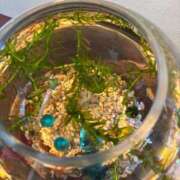 ヒメ日記 2025/08/07 12:01 投稿 みこ 奥様の実話 谷九店