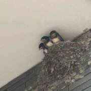 ヒメ日記 2025/08/21 13:01 投稿 みこ 奥様の実話 谷九店