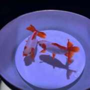 ヒメ日記 2025/08/30 12:01 投稿 みこ 奥様の実話 谷九店