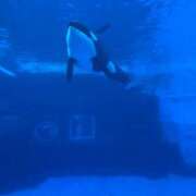 ヒメ日記 2025/09/12 16:30 投稿 みこ 奥様の実話 谷九店