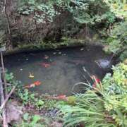 ヒメ日記 2025/10/12 07:00 投稿 みこ 奥様の実話 谷九店