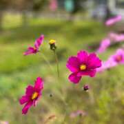 ヒメ日記 2025/10/23 09:00 投稿 みこ 奥様の実話 谷九店