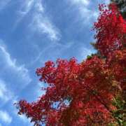 ヒメ日記 2025/12/04 12:01 投稿 みこ 奥様の実話 谷九店