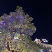 ヒメ日記 2025/12/18 07:30 投稿 みこ 奥様の実話 谷九店