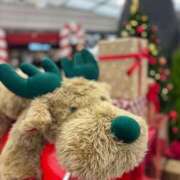 ヒメ日記 2025/12/24 07:30 投稿 みこ 奥様の実話 谷九店