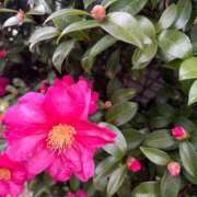 ヒメ日記 2026/01/04 07:00 投稿 みこ 奥様の実話 谷九店