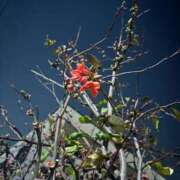 ヒメ日記 2026/02/14 07:45 投稿 みこ 奥様の実話 谷九店