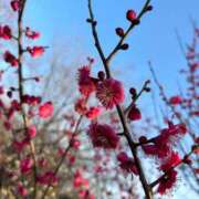 ヒメ日記 2026/02/16 07:45 投稿 みこ 奥様の実話 谷九店