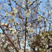 ヒメ日記 2026/03/12 09:19 投稿 みこ 奥様の実話 谷九店