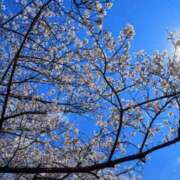 ヒメ日記 2026/03/31 08:00 投稿 みこ 奥様の実話 谷九店