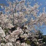 ヒメ日記 2026/04/03 13:39 投稿 みこ 奥様の実話 谷九店