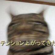 ヒメ日記 2025/07/07 03:44 投稿 みら☆小柄な完全業界未経験！ JKサークル