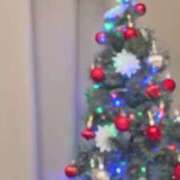 ヒメ日記 2024/12/11 19:01 投稿 片瀬ここみ 華椿