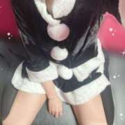 ヒメ日記 2024/12/19 10:30 投稿 さつき カリビアン