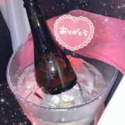 ヒメ日記 2025/01/05 19:44 投稿 さつき カリビアン