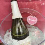 ヒメ日記 2025/01/21 18:46 投稿 さつき カリビアン