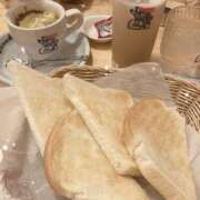 ヒメ日記 2025/02/16 11:00 投稿 さつき カリビアン